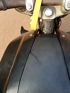 Meow buggie online show from 12.23.25