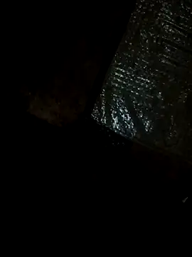 kausbvs online show from 02.11.26