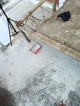 Snapshot of apka_rockstarr chatting on 11.27.25 apka rockstarr online show from 11.27.25