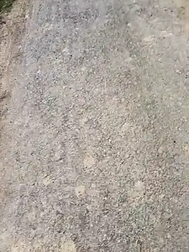 apka rockstarr online show from 02.21.26