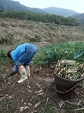 Snapshot of nangmo chatting on 03.18.26 nangmo online show from 03.18.26