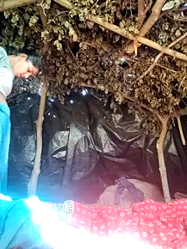 Babita Gori online show from 03.02.26