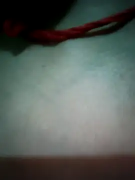 Snapshot of Punam_panjabi chatting on 06.11.26 Punam panjabi online show from 06.11.26