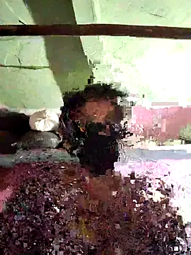 Anita-Dube online show from 02.02.26