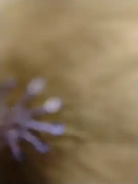 RASHMI SHARMA9 online show from 02.16.26