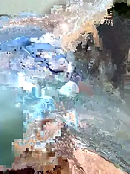 Harry254238 online show from 01.15.26