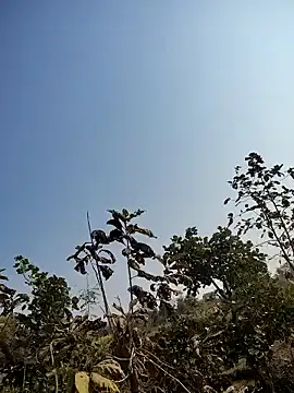 Snapshot of 88zaifkhan88 chatting on 01.14.26 88zaifkhan88 online show from 01.14.26