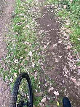 marconordic online show from 02.07.26