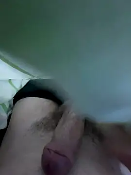 LoiroSafadinho online show from 02.28.26