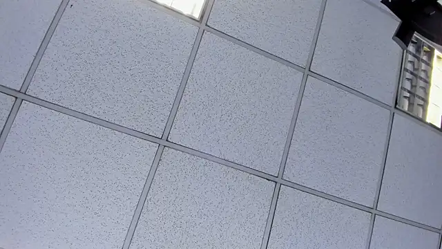 Alyssa Noah online show from 04.21.26