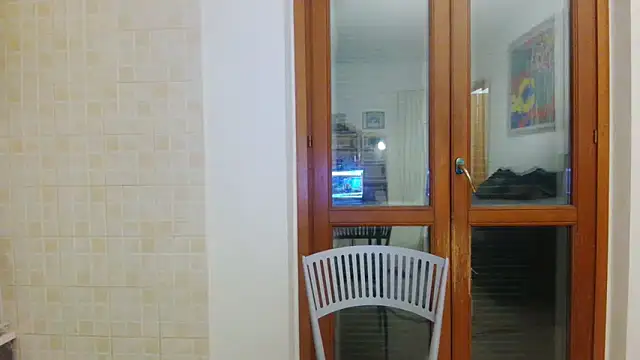 AMIRDIB2025 online show from 04.29.26