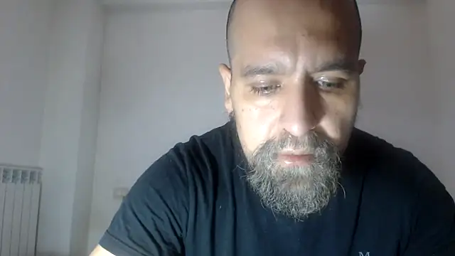 AMIRDIB2025 online show from 05.08.26