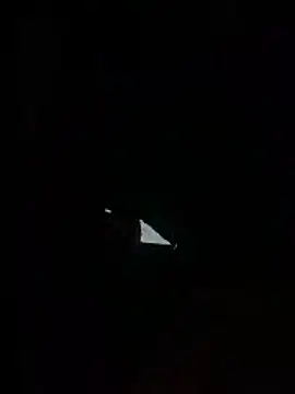 Junior3city online show from 04.23.26