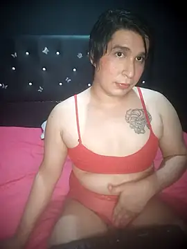 Snapshot of sissy-lover chatting on 12.20.25 sissy-lover online show from 12.20.25