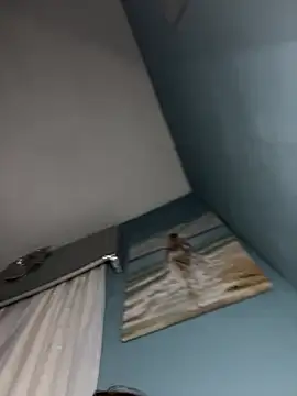 Kittycqtx online show from 03.23.26