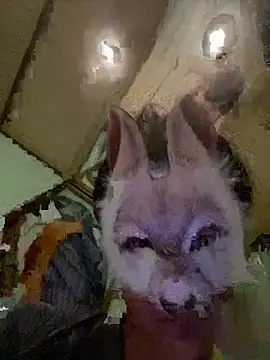 aotaro0721 online show from 02.27.26