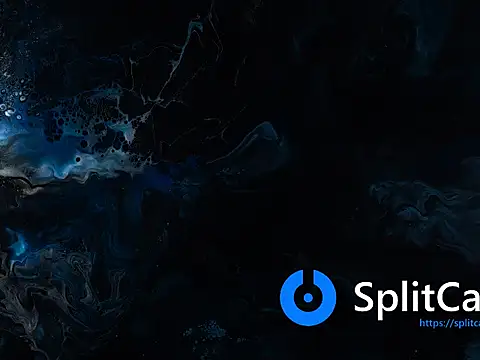 MisNicol online show from 03.12.26