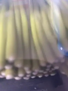 Snapshot of Ghost-Zero chatting on 03.21.26 Ghost-Zero online show from 03.21.26