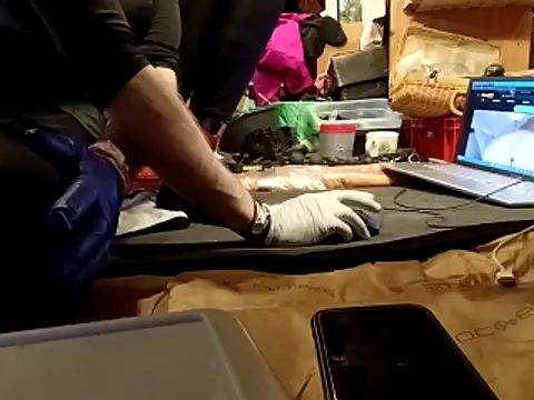 laaralatexxa BDSM online show from 03.13.26