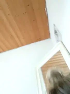 Milas Dreams OF online show from 12.15.25