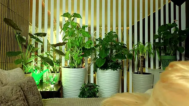 Snapshot of FlowweerGirl chatting on 12.15.25 FlowweerGirl online show from 12.15.25