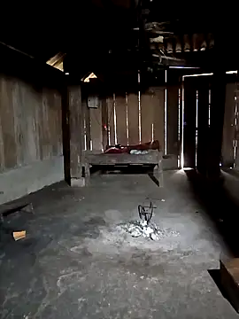 ava-dellght online show from 02.03.26