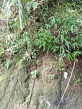 sary-hot2x online show from 06.16.26