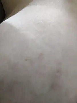 Snapshot of palomitka chatting on 02.11.26 palomitka online show from 02.11.26