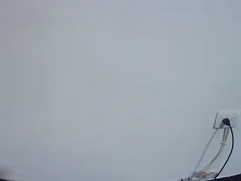 Fernanda andrew online show from 02.24.26