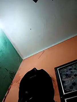 Snapshot of Arpitasen chatting on 01.14.26 Arpitasen online show from 01.14.26