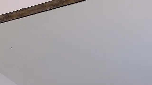 LucyHanks online show from 02.23.26