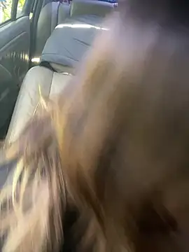 loxzjr online show from 01.14.26