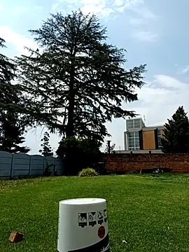 Snapshot of PetiteDoll_06 chatting on 02.21.26 PetiteDoll 06 online show from 02.21.26