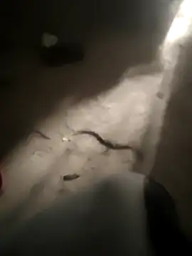 DanielGr27 online show from 02.05.26