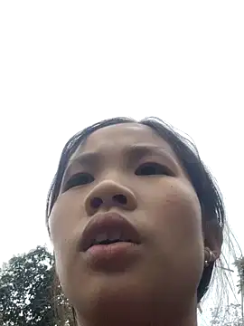 mit0-77 online show from 01.08.26