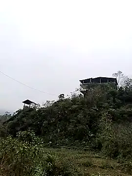 Snapshot of neko-nancy chatting on 01.07.26 neko-nancy online show from 01.07.26