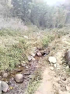 Snapshot of neko-nancy chatting on 01.14.26 neko-nancy online show from 01.14.26