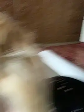 Snapshot of Barbika19 chatting on 03.09.26 Barbika19 online show from 03.09.26