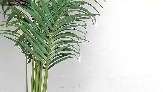 Snapshot of sebastamayo_ chatting on 01.09.26 sebastamayo online show from 01.09.26