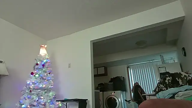 Snapshot of dixielover1229 chatting on 12.17.25 dixielover1229 online show from 12.17.25