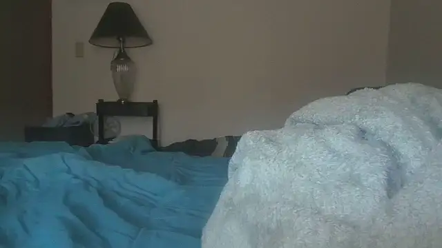 Snapshot of dixielover1229 chatting on 01.07.26 dixielover1229 online show from 01.07.26