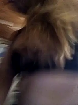 cari75 online show from 02.03.26