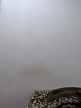 twinkarabboy online show from 02.17.26