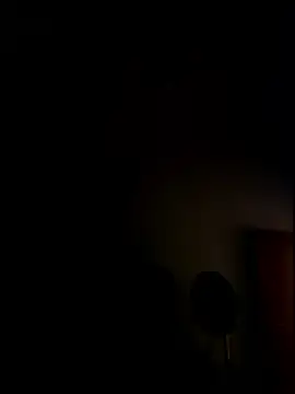 Snapshot of AbidingAuspices chatting on 01.17.26 AbidingAuspices online show from 01.17.26