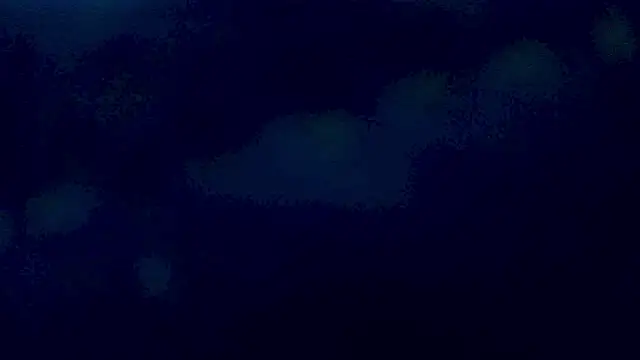 Sthefanyx2 online show from 03.04.26