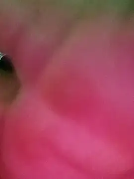 swartilodhi123 online show from 02.09.26