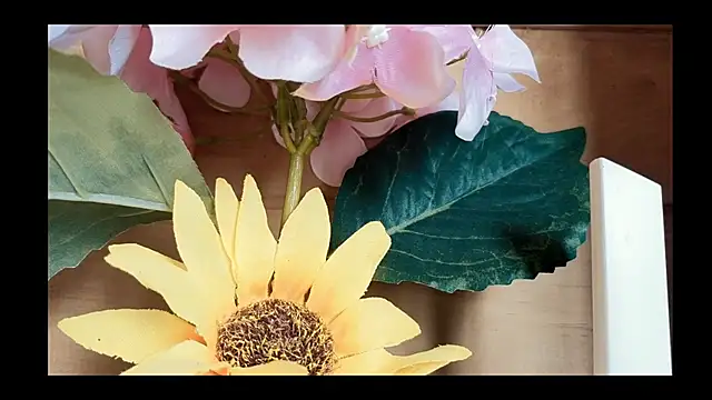 vickvalencia2 online show from 05.04.26