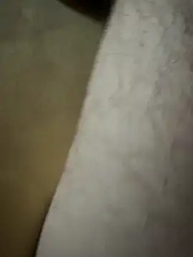 Lilalache online show from 12.14.25