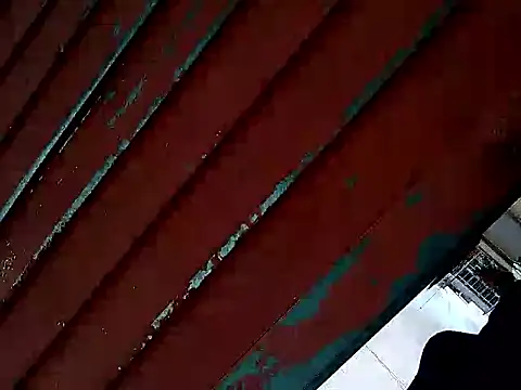 Snapshot of Richarlisot chatting on 01.12.26 Richarlisot online show from 01.12.26