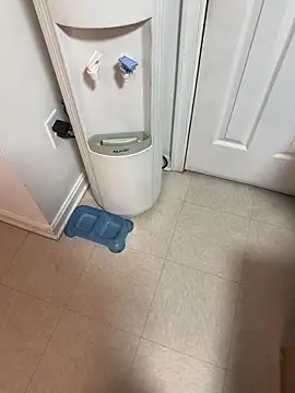 Snapshot of tigre6911 chatting on 12.16.25 tigre6911 online show from 12.16.25